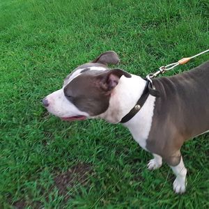 Meet your Posher, Brooklyn